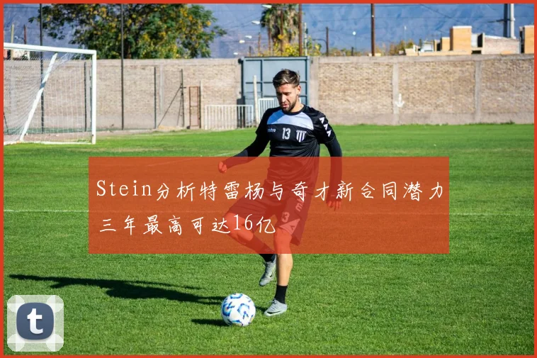 Stein分析特雷杨与奇才新合同潜力三年最高可达16亿
