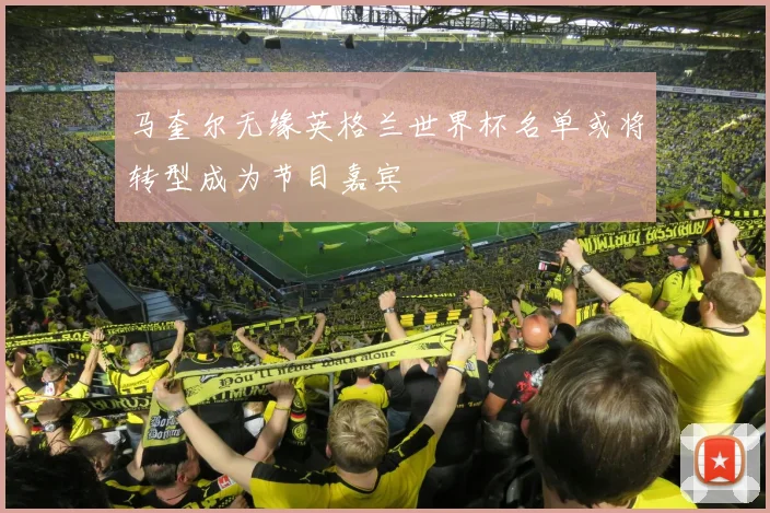 马奎尔无缘英格兰世界杯名单或将转型成为节目嘉宾