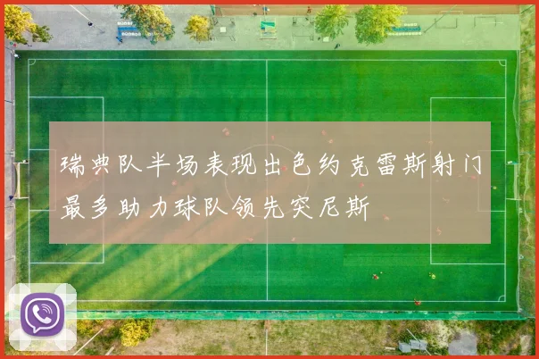 瑞典队半场表现出色约克雷斯射门最多助力球队领先突尼斯